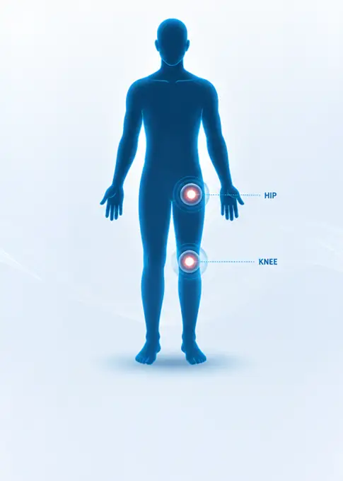 Large joint clinical application
